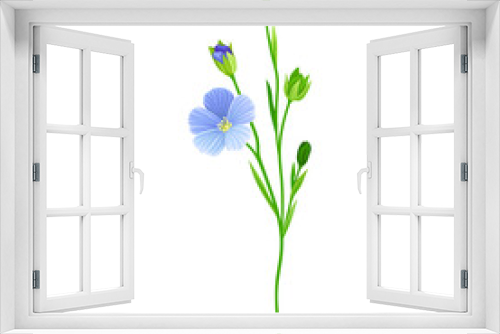 Fototapeta Naklejka Na Ścianę Okno 3D - Blue Common Flax or Linseed Cultivated Flowering Plant Specie Vector Illustration