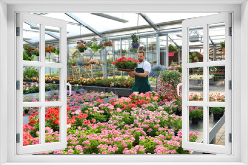 Fototapeta Naklejka Na Ścianę Okno 3D - happy worker growing flowers in a greenhouse of a flower shop