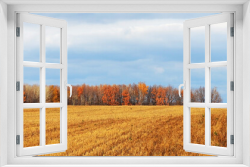 Fototapeta Naklejka Na Ścianę Okno 3D - A mown field of grain, an autumn forest, a power line against the sky. Panorama.