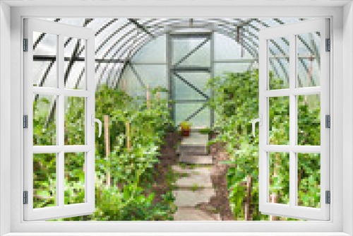 Fototapeta Naklejka Na Ścianę Okno 3D - arched greenhouse