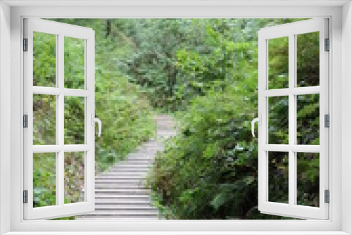 Fototapeta Naklejka Na Ścianę Okno 3D - curvy boardwalk through a green forest