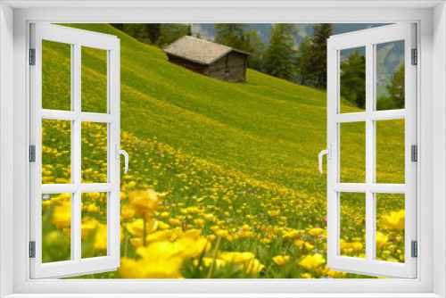 Fototapeta Naklejka Na Ścianę Okno 3D - gelb grüne Bergblumenwiese mit Ferienhaus im Hintergrund