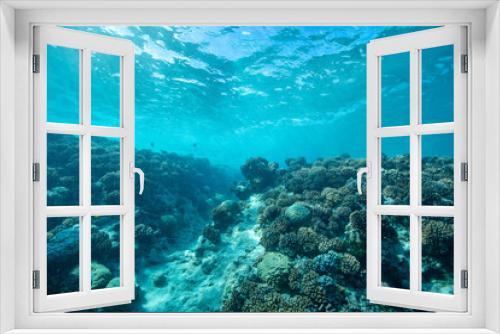 Fototapeta Naklejka Na Ścianę Okno 3D - scuba diver and coral reef