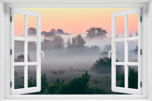 Fototapeta Naklejka Na Ścianę Okno 3D - landscape with fog in an early summer morning. Waiting for the sun to rise.
