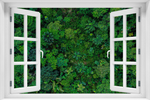 Fototapeta Naklejka Na Ścianę Okno 3D - Aerial top view of a deforested part of rainforest with many palm trees still standing while other tree species have been logged