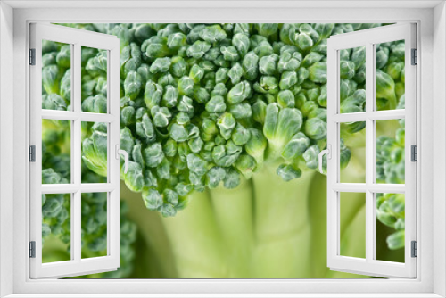 Fototapeta Naklejka Na Ścianę Okno 3D - Broccoli close-up