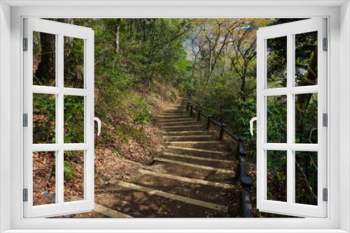 Fototapeta Naklejka Na Ścianę Okno 3D - 登山道　稲荷山コースの階段　高尾山