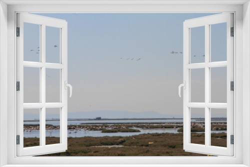 Fototapeta Naklejka Na Ścianę Okno 3D - Flamingos