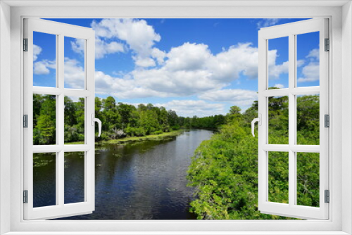 Fototapeta Naklejka Na Ścianę Okno 3D - The landscape of Hillsborough river and Lettuce park at Tampa, Florida	