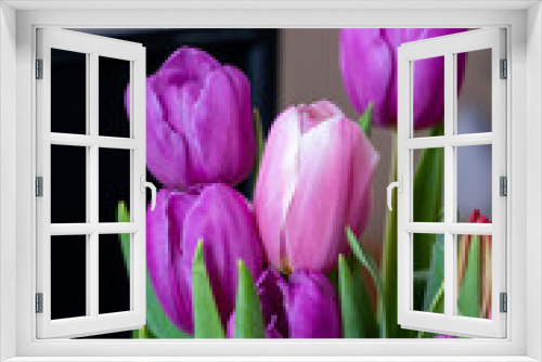 Fototapeta Naklejka Na Ścianę Okno 3D - Beautiful bouquet of multicolored tulips close-up. Pink, orange, lilac blossoming spring flowers. 