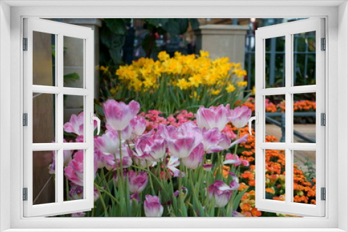 Fototapeta Naklejka Na Ścianę Okno 3D - tulips in the garden