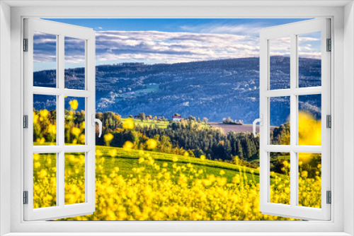 Fototapeta Naklejka Na Ścianę Okno 3D - A view at a rape field in late summer with beautiful rural hills in the background. Panorama view at the rural landscape between the small towns Obernzell and Wegscheid in lower bavaria, germany