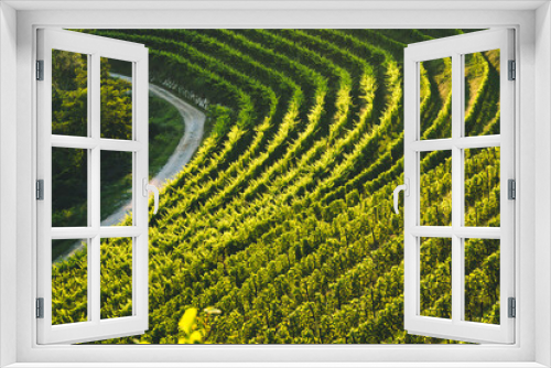 Fototapeta Naklejka Na Ścianę Okno 3D - Beautiful green vineyard hill terraced pattern