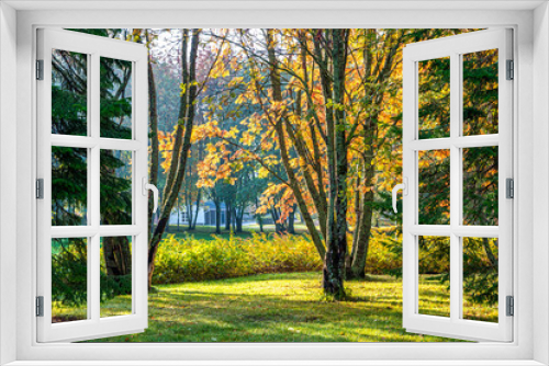 Fototapeta Naklejka Na Ścianę Okno 3D - Autumn park landscape