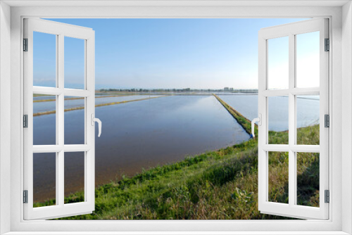 Fototapeta Naklejka Na Ścianę Okno 3D - Flooded paddy field of Piedmont where in the month of May the province of Vercelli is a mirror of water with beautiful reflections and colors.