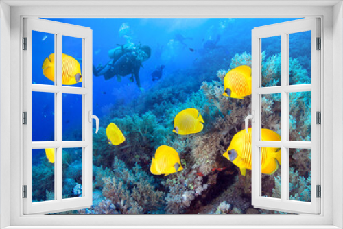 Fototapeta Naklejka Na Ścianę Okno 3D - Coral reef, Masked Butterfly Fishes and Group of Divers.