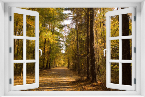 Fototapeta Naklejka Na Ścianę Okno 3D - Autumn Path