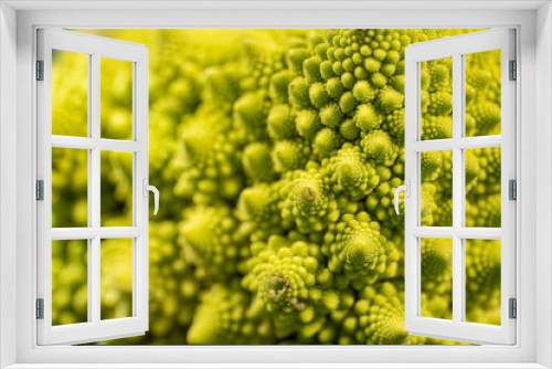Fototapeta Naklejka Na Ścianę Okno 3D - Romanesco broccoli on dark green fabric, healthy food
