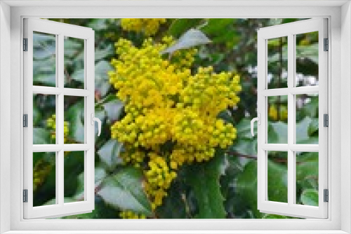 Fototapeta Naklejka Na Ścianę Okno 3D - yellow flowers