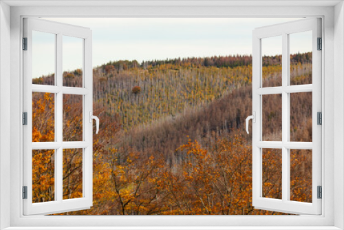 Fototapeta Naklejka Na Ścianę Okno 3D - Wald im Herbst, Harz, Deutschland