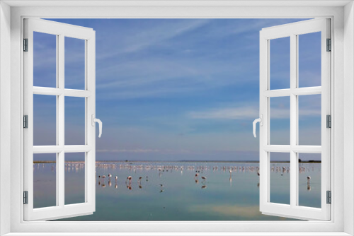 Fototapeta Naklejka Na Ścianę Okno 3D - A large flock of flamingos is feeding on the lake. Birds with soft pink plumage, on long legs stand in the water with their beak down. A specular reflection of the sky on a smooth surface. Kenya