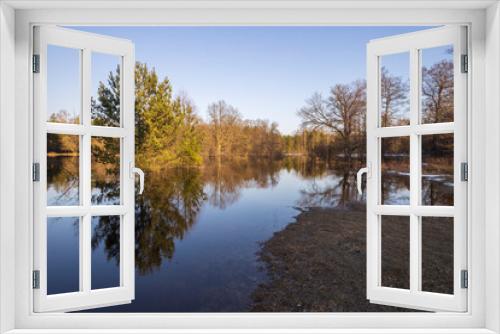 Fototapeta Naklejka Na Ścianę Okno 3D - River flood in the foreground. The pines are illuminated by the rays of the setting sun. The blue sky and trees are reflected in the water.