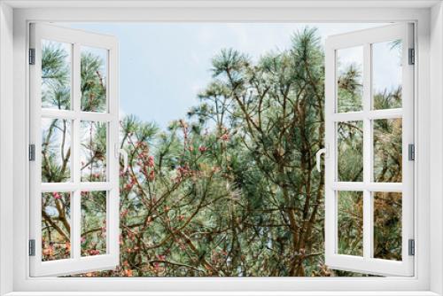 Fototapeta Naklejka Na Ścianę Okno 3D - arbres , branchages