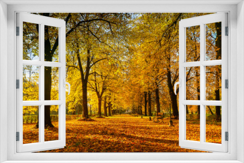 Fototapeta Naklejka Na Ścianę Okno 3D - Zamość - Park jesienią