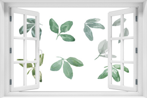 Fototapeta Naklejka Na Ścianę Okno 3D - Set of wild green leaves of field clover. Shamrock isolated elements on a white background for the design of cards, invitations, borders, backgrounds, prints, textiles. Watercolor.