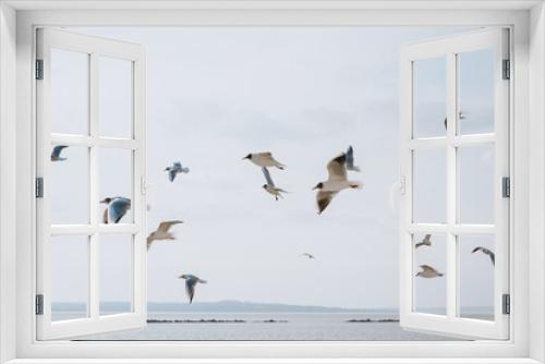 Fototapeta Naklejka Na Ścianę Okno 3D - A flock of beautiful white, gray seagulls fly, soar over the sea, wavy ocean in spring time against the background of blue sky and clouds.