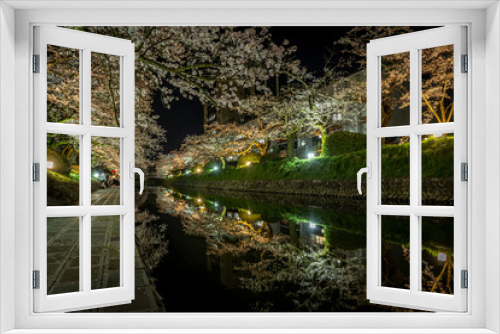 Fototapeta Naklejka Na Ścianę Okno 3D - 富山・松川周辺の夜桜ライトアップ