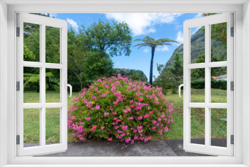 Fototapeta Naklejka Na Ścianę Okno 3D - blossom bush lawn