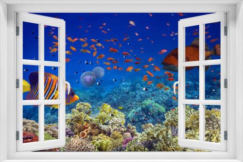 Fototapeta Naklejka Na Ścianę Okno 3D - Triggerfish (Balistodes viridescens)