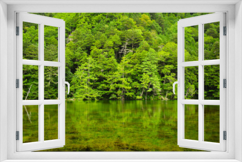 Fototapeta Naklejka Na Ścianę Okno 3D - 長野県上高地の明神池の緑の世界