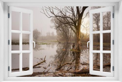 Fototapeta Naklejka Na Ścianę Okno 3D - Poranek nad rzeką