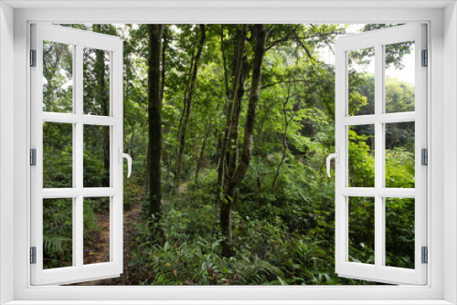 Fototapeta Naklejka Na Ścianę Okno 3D - Hiking trail in spring forest