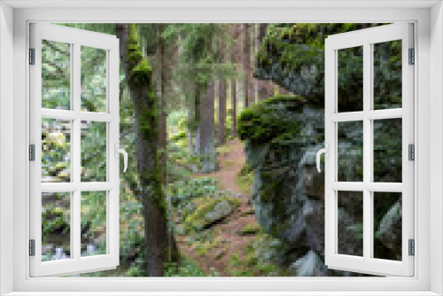 Fototapeta Naklejka Na Ścianę Okno 3D - große Felsen im Steinwald entlang der Waldnaab
