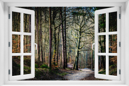 Fototapeta Naklejka Na Ścianę Okno 3D - Spring. A mysterious path in the forest, a naked oak tree in the background