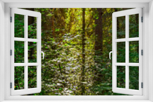 Fototapeta Naklejka Na Ścianę Okno 3D - landscape of a wild coniferous forest on a summer day