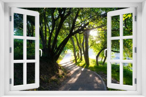 Fototapeta Naklejka Na Ścianę Okno 3D - forest, road, tree, nature, path, landscape, trees, green, park, woods, wood, Houston