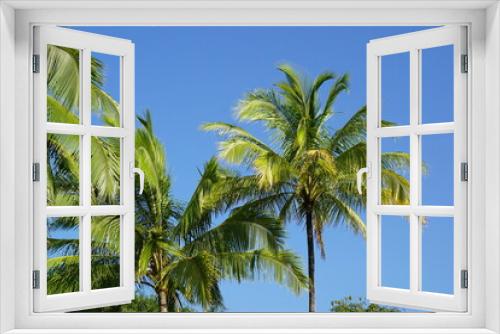 Fototapeta Naklejka Na Ścianę Okno 3D - ハワイ