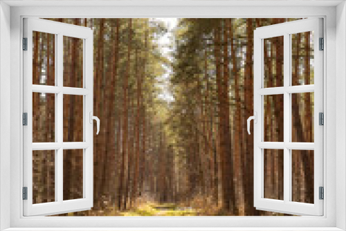 Fototapeta Naklejka Na Ścianę Okno 3D - path in the pine forest
