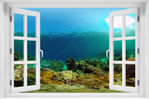 Fototapeta Naklejka Na Ścianę Okno 3D - Coral Reef and Fishes Underwater. Underwater fish reef marine. Tropical colorful underwater seascape with coral reef. Philippines. 360 panorama VR