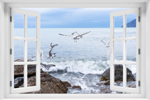 Fototapeta Naklejka Na Ścianę Okno 3D - A flock of ivy gulls over the sea with rocks during a storm. One of the seagulls looks at the photographer