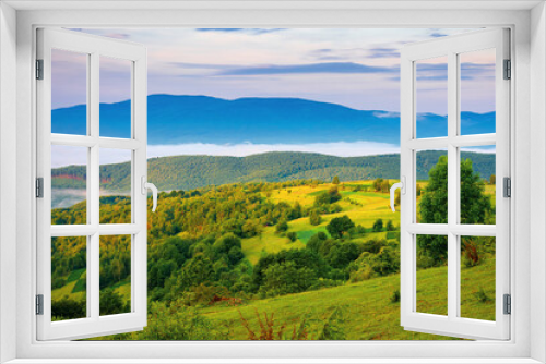 Fototapeta Naklejka Na Ścianę Okno 3D - mountainous rural landscape at sunrise. trees and agricultural fields on hills rolling in to the distant valley full of fog. ridge beneath a sky with clouds in morning light