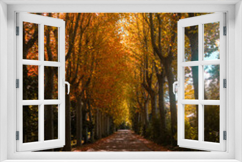 Fototapeta Naklejka Na Ścianę Okno 3D - Camino de tierra en otoño