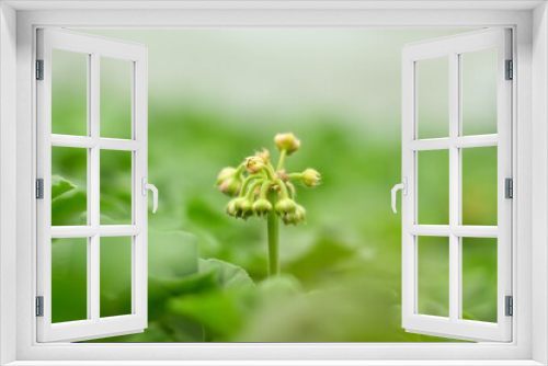 Fototapeta Naklejka Na Ścianę Okno 3D - Green world