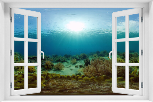Fototapeta Naklejka Na Ścianę Okno 3D - Coral Reef and Fishes Underwater. Underwater fish reef marine. Tropical colorful underwater seascape with coral reef. Philippines. 360 panorama VR