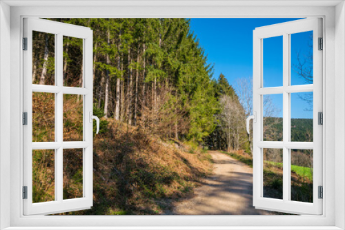 Fototapeta Naklejka Na Ścianę Okno 3D - Germany, Black forest paradise untouched nature landscape of hiking trail along edge of the forest in springtime perfect for hiking