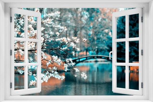 Fototapeta Naklejka Na Ścianę Okno 3D - Widok na wiosenny park z mostem i kwitnącymi magnoliami 